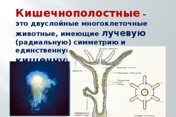 Kraken ссылка tor официальный сайт